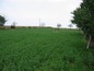 Land for sale near Burgas. A vast plot of regulated land for sale!