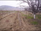 Land for sale near Plovdiv. A nice plot of regulated land near the mountains