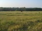 Land for sale near Primorsko. A spacious plot of agricultural land near Primorsko!