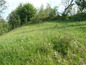 Land for sale near Troyan. Property for sale in a well-developed region!