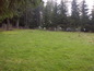 Land for sale near Borovets. Fascinating plot of land surrounded by pine trees