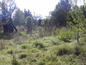 Land for sale near Borovets SOLD . Regulated plot of land, 2-3 km away from Iskar Reservoir