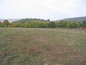 Land for sale near Kardjali. A spacious plot of land in wine producing area!!!
