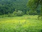 Agricultural land for sale near Veliko Tarnovo SOLD . Agricultural plot of land near a river!