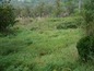Agricultural land for sale near Troyan. Agricultural plot of land bordering a thick forest