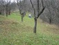 Agricultural land for sale near Troyan. Delightful plot of land … near a spa swimming pool!