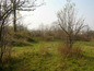 Agricultural land for sale near Gabrovo. Good-sized plot of land at a reasonable price