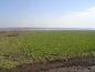 Agricultural land for sale near Burgas. A spacious plot of agricultural land near Burgas!