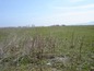 Land for sale near Primorsko. A well-sized plot of land only 300 meters from the sea!